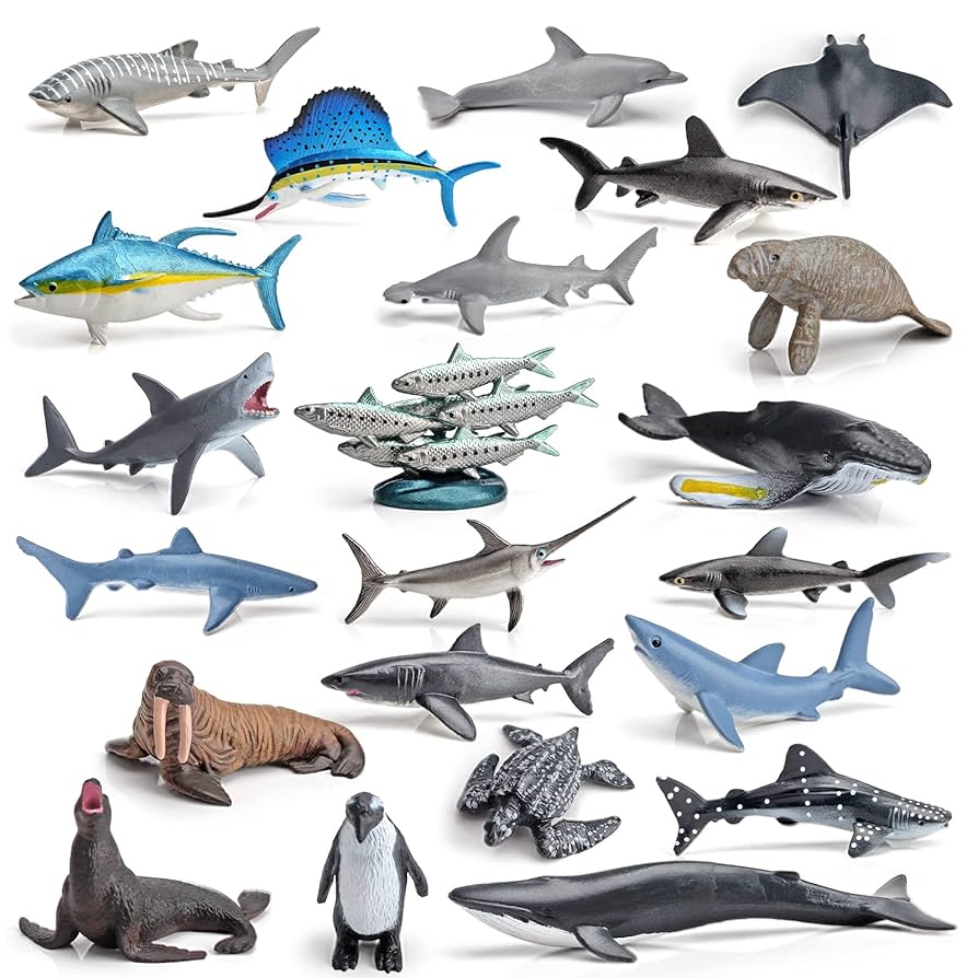Peces de mar / Sea Fishes: Animales acuá Animales marinos exóticos. Caricatura de peces: vector de